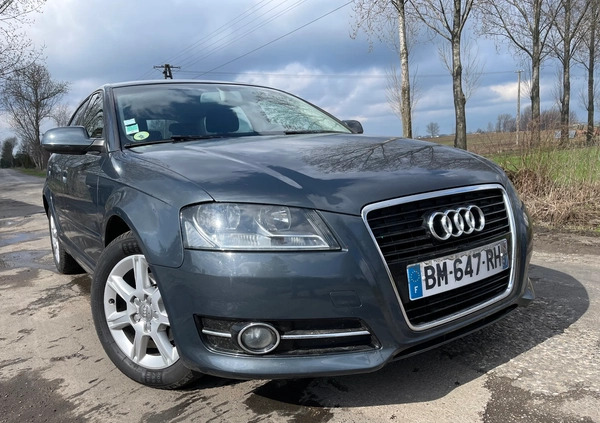 Audi A3 cena 21900 przebieg: 248000, rok produkcji 2011 z Chojnów małe 436